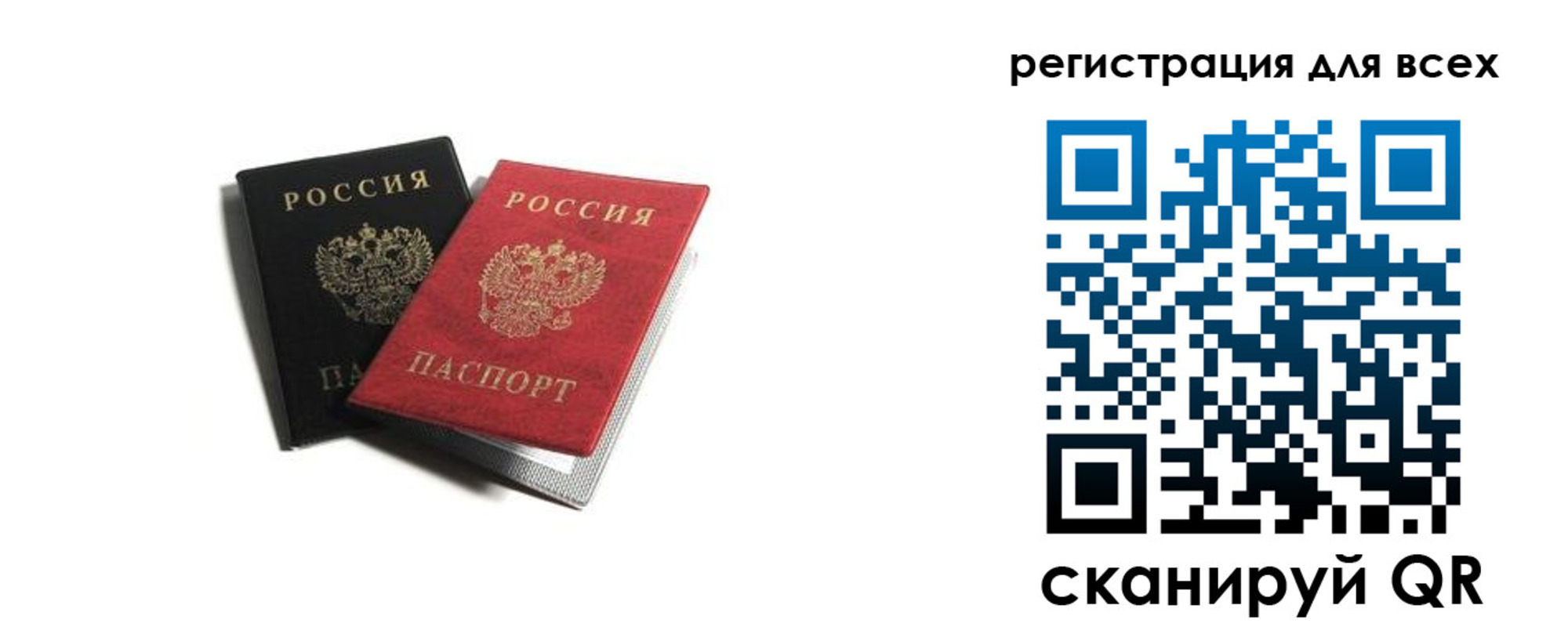 прописка гарантия в Фрязино